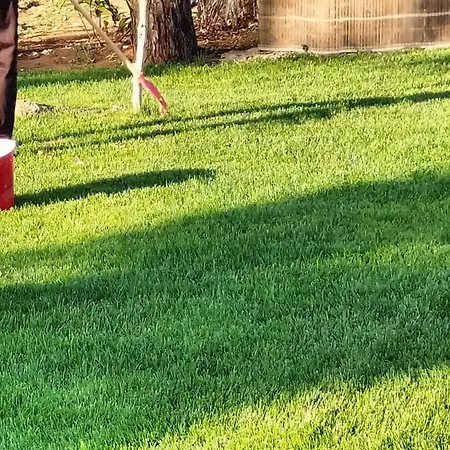 ベッド・アンド・ブレックファスト Vittorio 4*